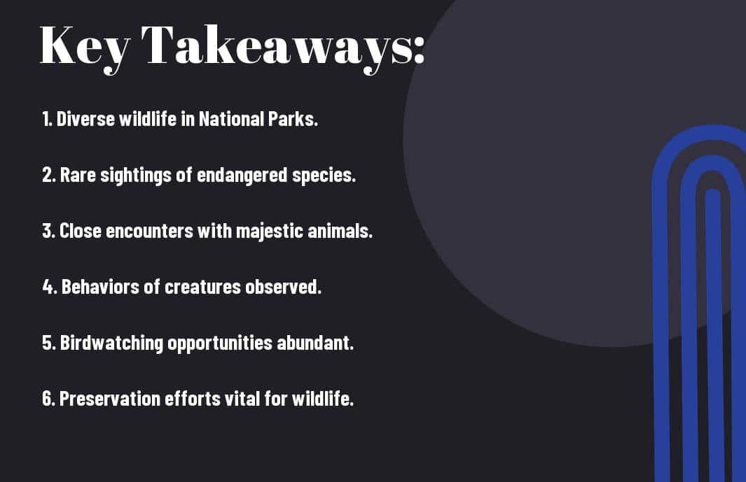 wildlife watching national parks most amazing creatures mtt Vacation Tribe